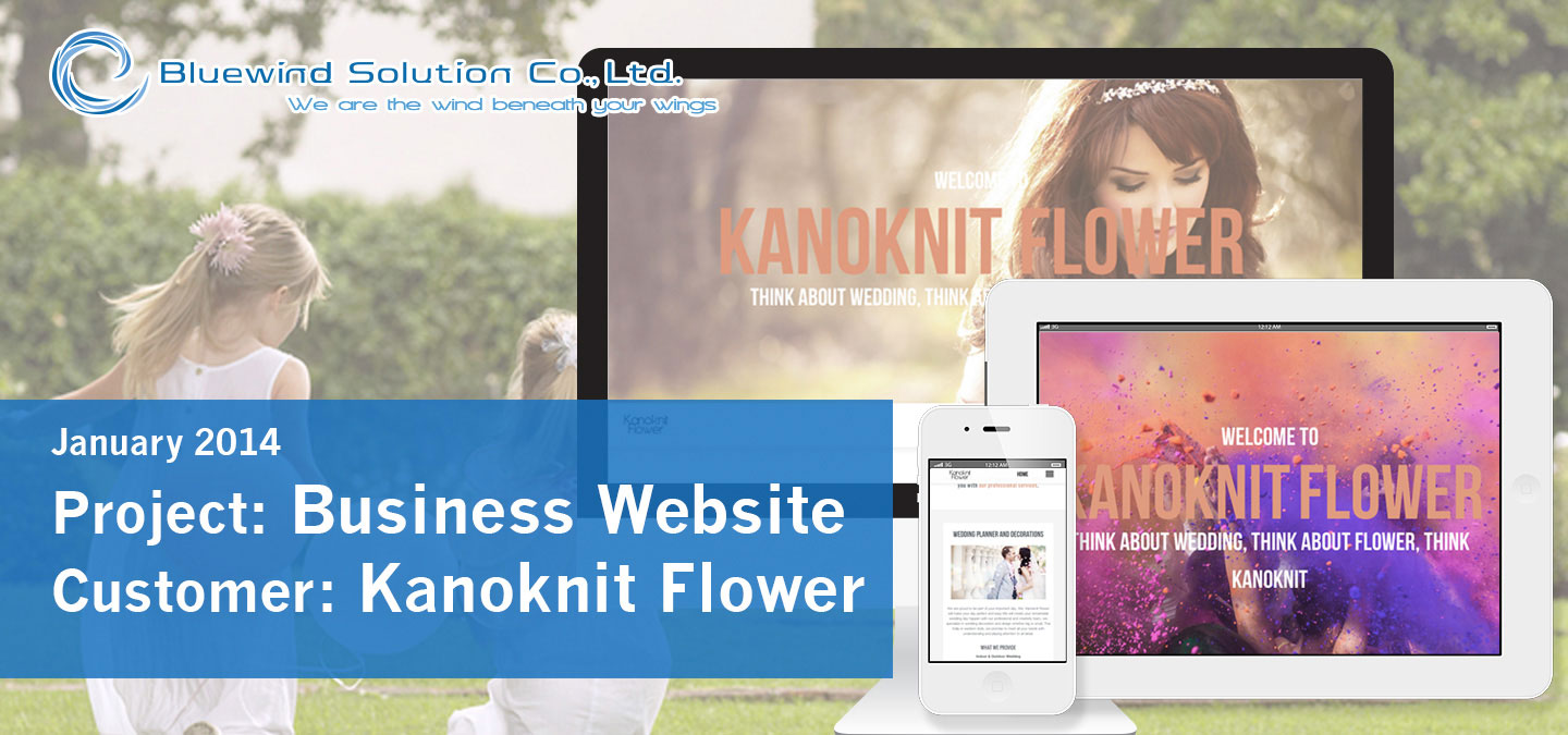 Bluewind Solution Portfolio