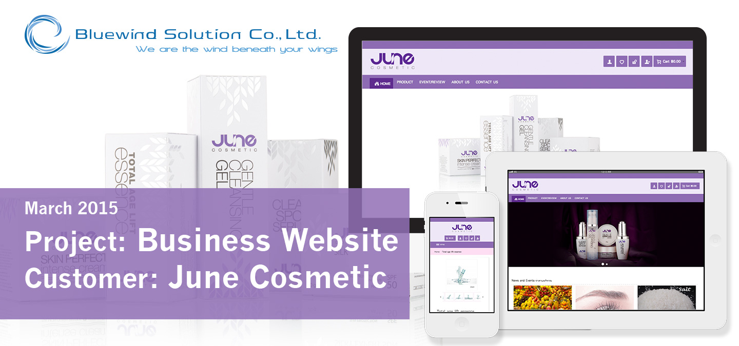 Bluewind Solution Portfolio