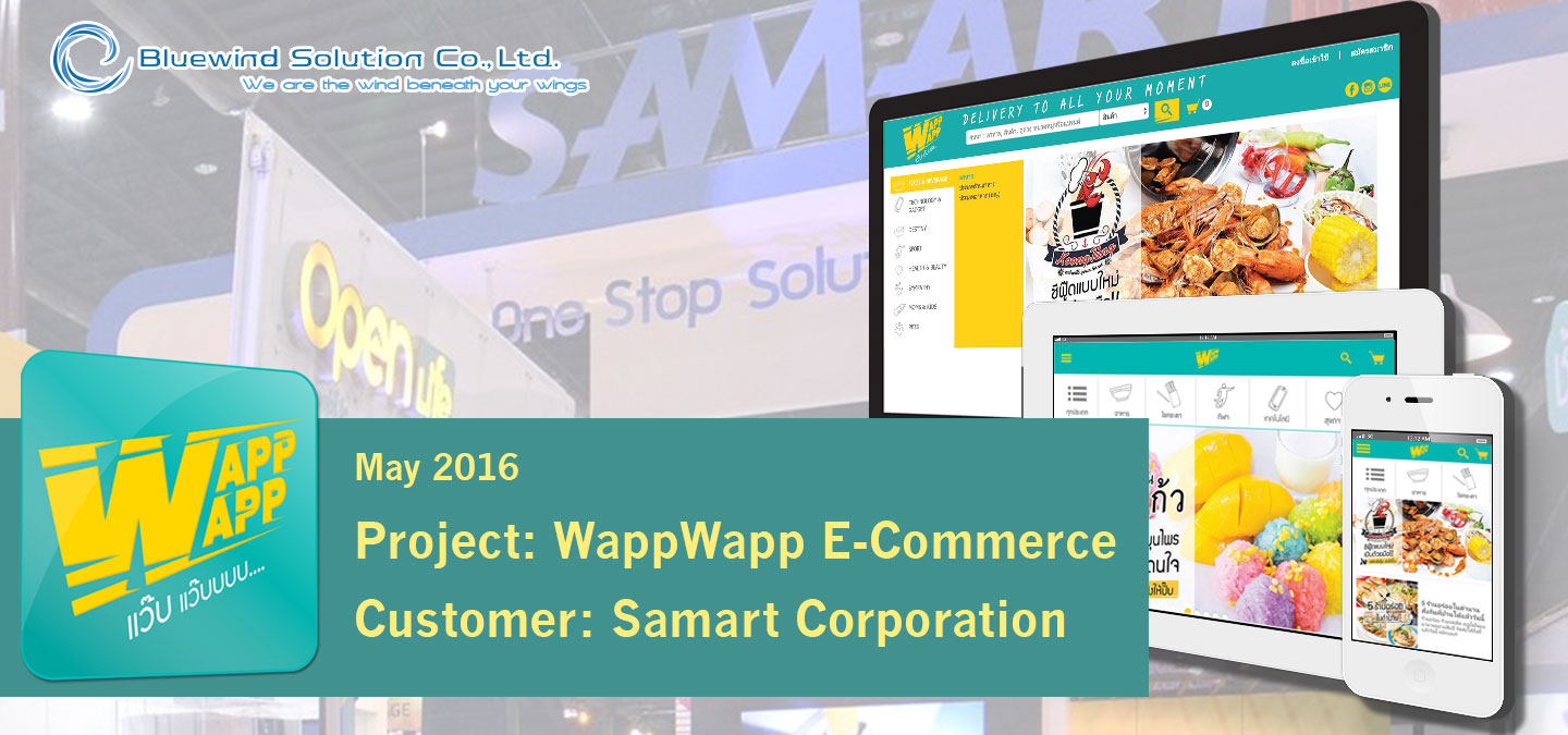 Bluewind Solution Portfolio